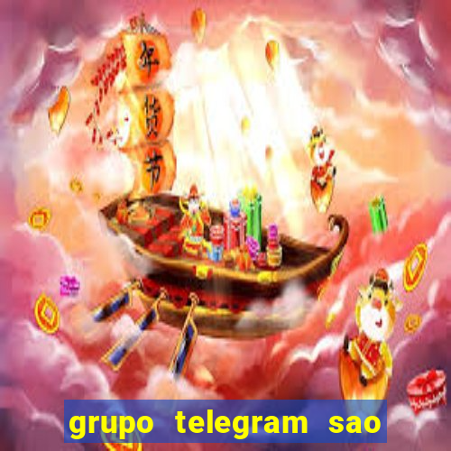 grupo telegram sao jose do rio preto